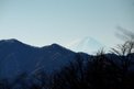 キスゲ平から見える富士山