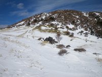 丸山の斜面