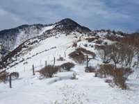 小丸山から見た赤薙山