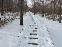 階段には凍った雪があります