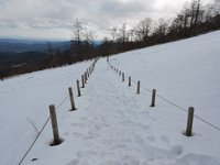 遊歩道、積雪２０センチ程度