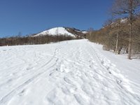 雪原