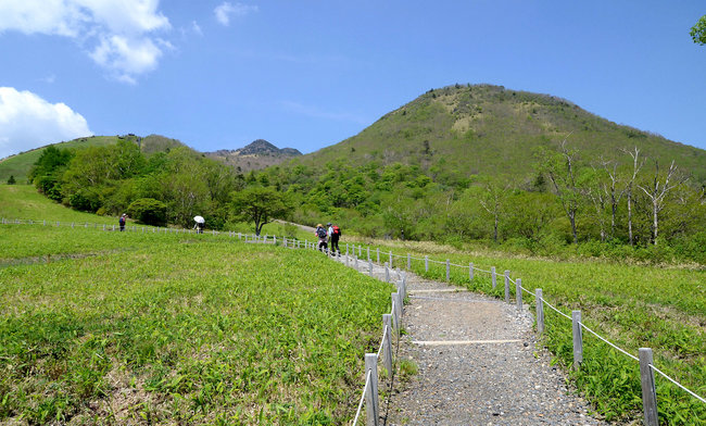 高原の花観察コース（約60分）