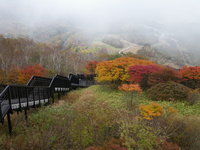 天空回廊上部の紅葉