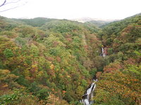 10/24紅葉情報　霧降の滝