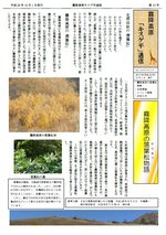 キスゲ平通信013号