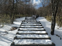 12/10園地内積雪C地点（森の中）