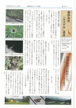 キスゲ平通信017号