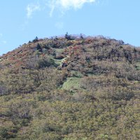 紅葉情報　丸山　色付き始め