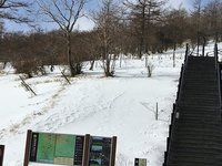 積雪情報 雪遊びご遠慮ください