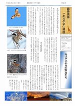 キスゲ平通信021号