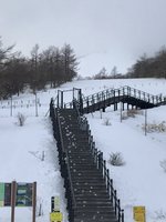 積雪情報 10~15cm