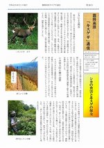 キスゲ平通信024号