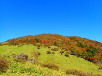 丸山　紅葉ピーク