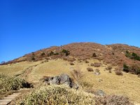 丸山　紅葉状況