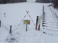 積雪情報　15ｃｍほど