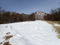 積雪情報　20ｃｍほど　ザラメ雪