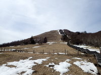 積雪情報　園内はほぼ地面が見えています。