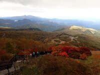 園内紅葉　展望台から