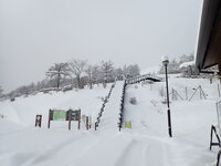 積雪情報　園内50ｃｍほど