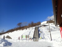 積雪情報　園内30ｃｍほど