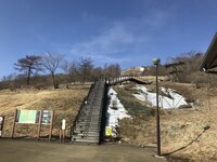 積雪情報　園内はほとんど地面が見えています