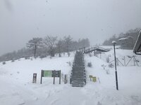 積雪情報　園内20ｃｍほど