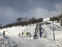 積雪情報　園内40ｃｍほど