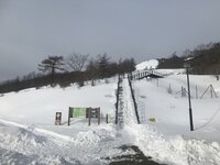 積雪情報　園内50ｃｍほど