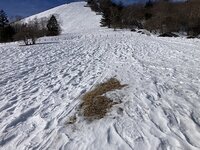 積雪状況　20㎝ほど　気温が高く減少しています