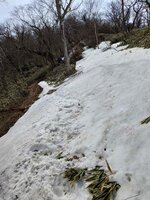 登山道情報　丸山山頂～八平ヶ原間は一部残雪あり。過去に事故も発生している区間です。注意してください。