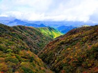 周辺情報　六方沢の紅葉状況