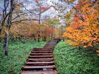 季節が一気に進みました