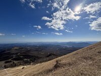 紅葉が終わり、木々は落葉しました