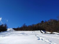 今朝の気温-8℃　一晩で30cm程積雪しました。キスゲ平への途中、数台の車が立ち往生していました。