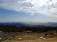 今朝の気温6℃　飛散する花粉
