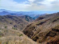 今朝の気温12℃　周辺情報　六方沢のアカヤシオ