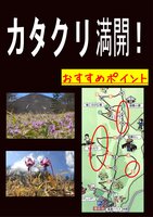 カタクリ　満開