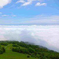 見事な雲海が出現致しました！