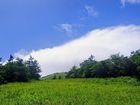 今朝の気温18℃　台風接近による強風で体感温度は10℃前後です