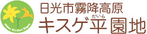 日光市霧降高原　キスゲ平園地